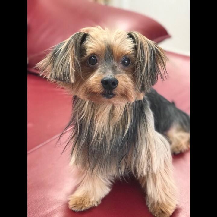 072297c7 e95a 405d a5e6 ebaf67c5a630 1518143263989