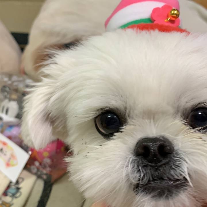 07229b0b 83c8 414a 92d6 798e488f6ca0 1646310811402