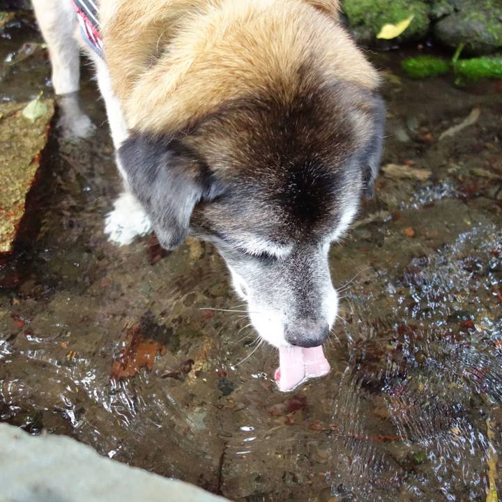 0722f880 a874 4846 941d b90456ee808b 1531618398926