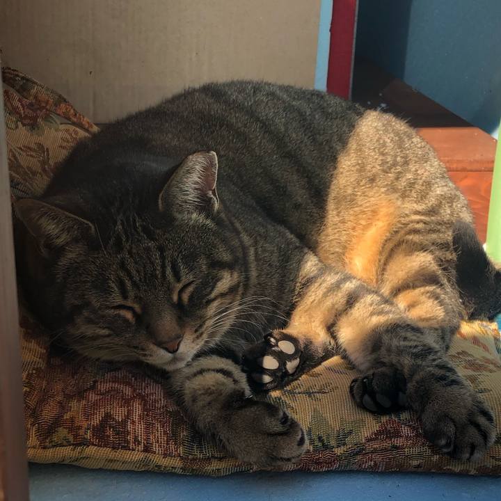 07233067 23f0 4651 bb03 c4e8b375ebe3 1608619177282