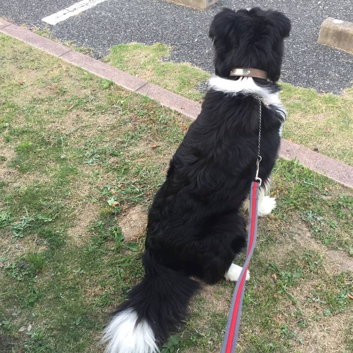 072338e7 fd8d 48f3 8fa1 5903cb1eccb6 1557914701664