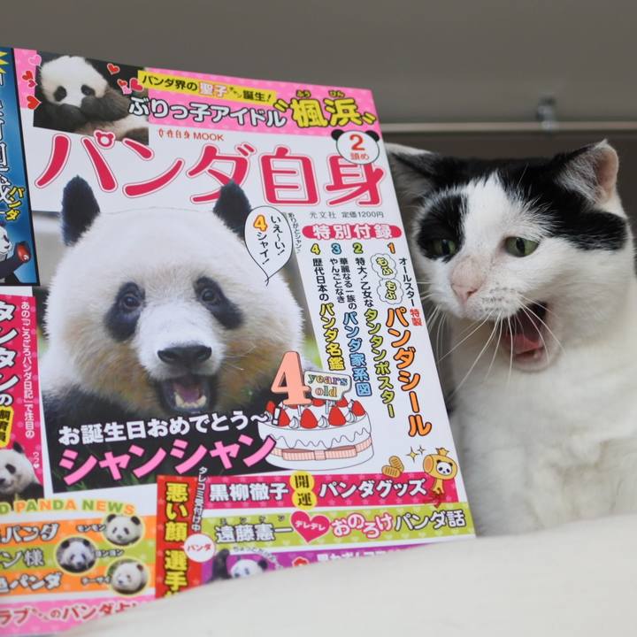 07233c54 4efe 4d13 a3a7 9d667889b8b9 1622164316899