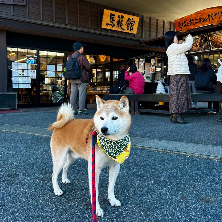 07234c0e 440a 4283 8893 8ba1caa37c73 1763710945368