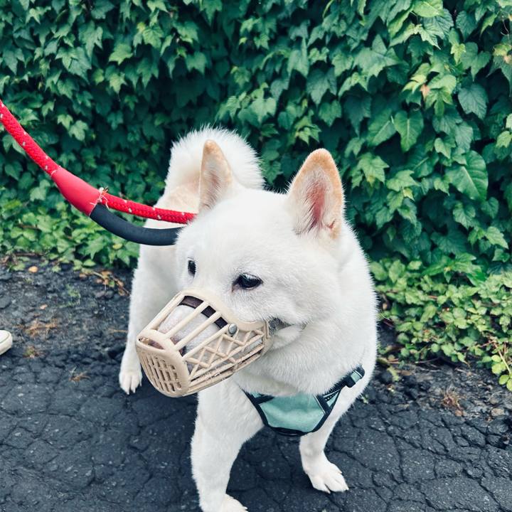 07234d76 6f2d 40bf 96f8 3662567fcc8c 1696458355120