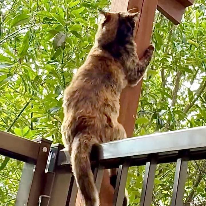 072363c2 274d 4833 9003 0565a18db923 1774235697936