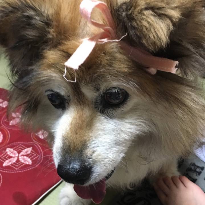 0723675e 5550 4b7c 887d 6b77473d86ad 1631482049591