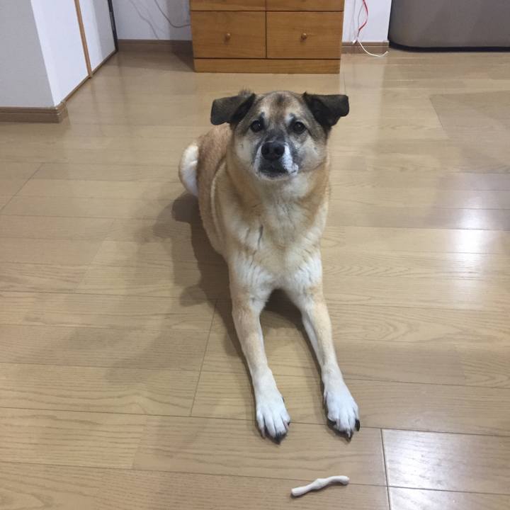 072373fc a26a 48fc 91ff 757fbd9f165b 1517298947614