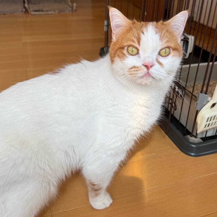 072374e3 c168 43e2 91ac cdaabd66f0e3 1772849681534