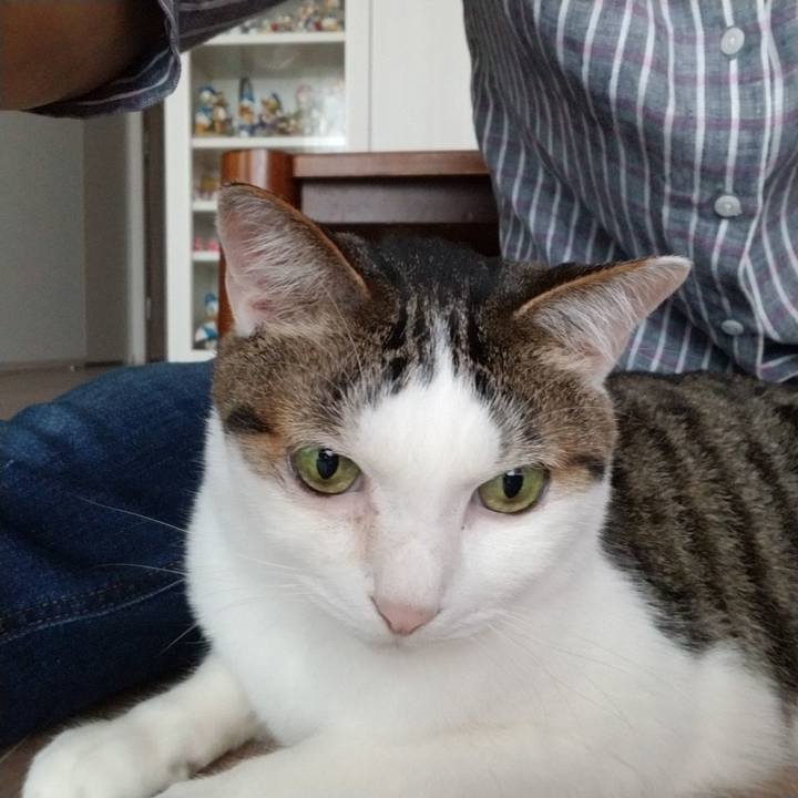 07238f1f d3df 4c8a b629 57477435b350 1560462023720