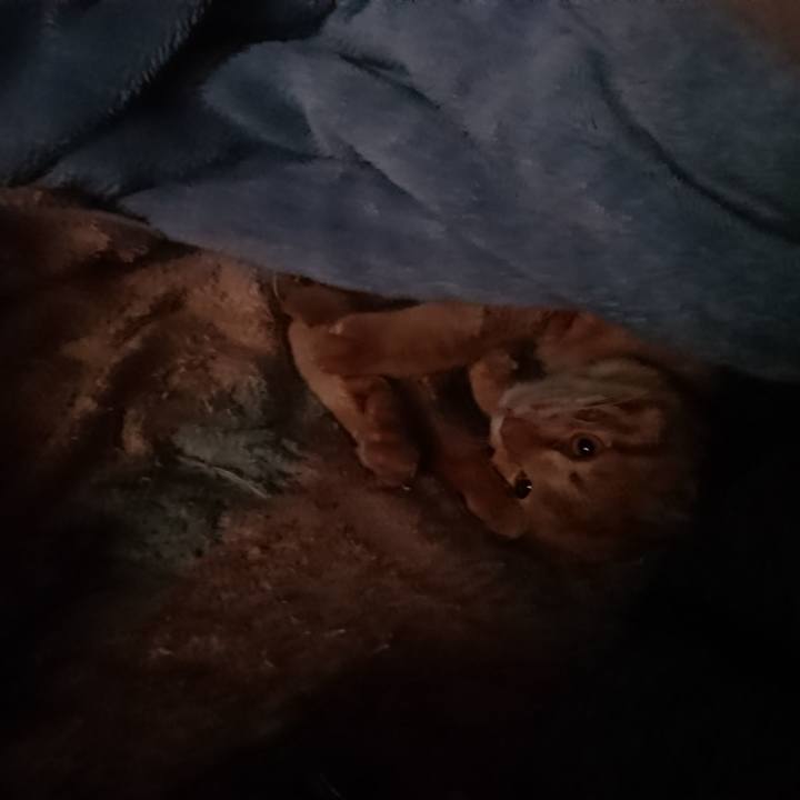 072397b2 0a3e 4474 bc58 640299295c27 1654548750529