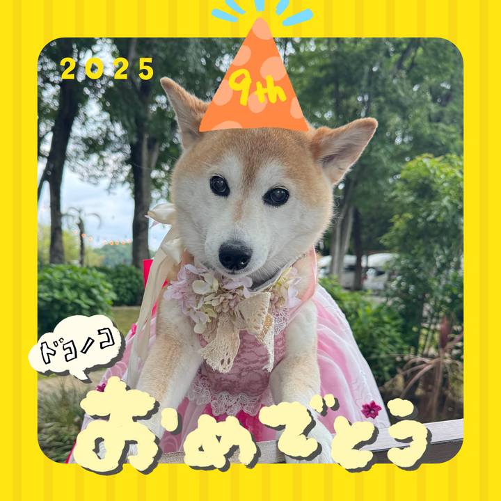 0723a7dd a8cc 4fb2 adba 14e71e5ea109 1749120374030