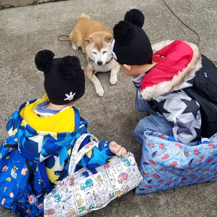 0723be4d 5426 4d5f a865 219b7650f07b 1709289797588