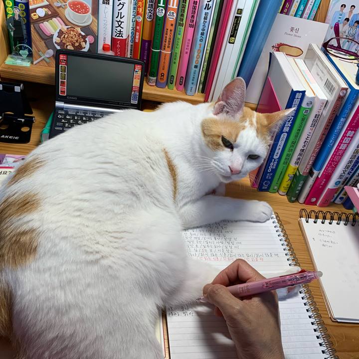 072443e9 4764 4abf a06c 4ee61bf2e913 1620546034937