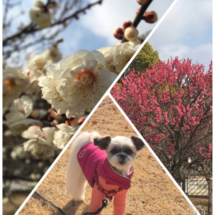 072448ea 370c 4499 b392 693384282bcf 1519380654680