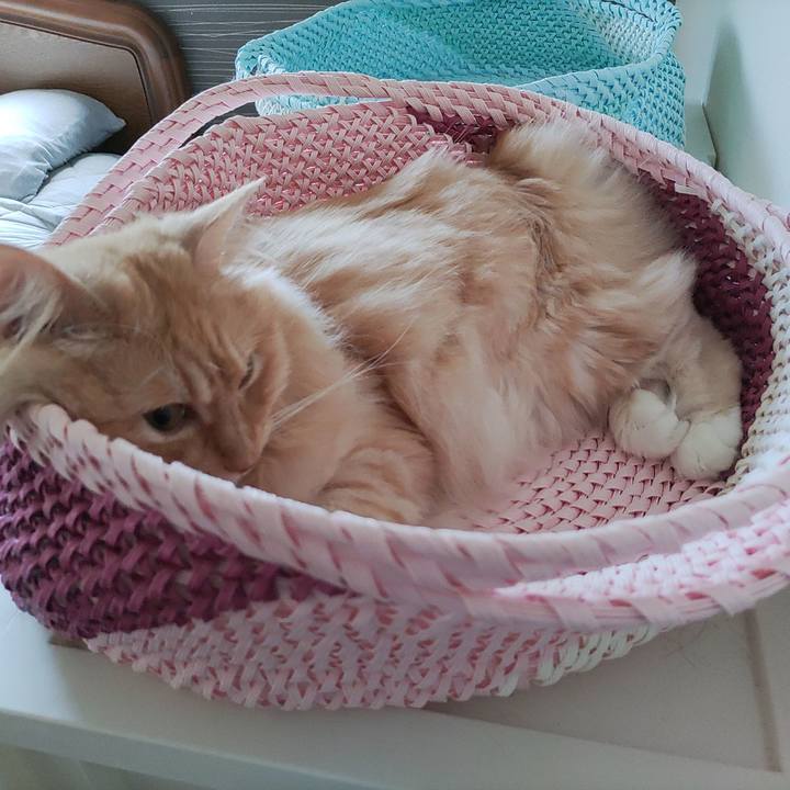 07245537 9fe0 4743 ac52 86e796f33349 1687989743384