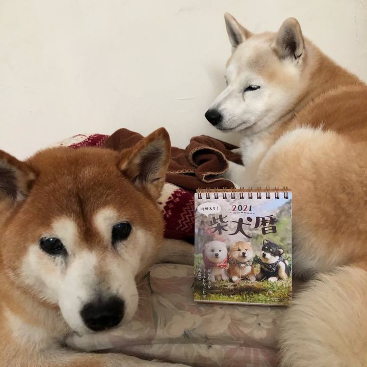 07245813 5755 4c4a b113 97bbdcb5b90d 1604127641945