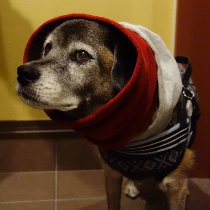 072497da f840 454c adaf 9c4e8d3b8f36 1575883542150