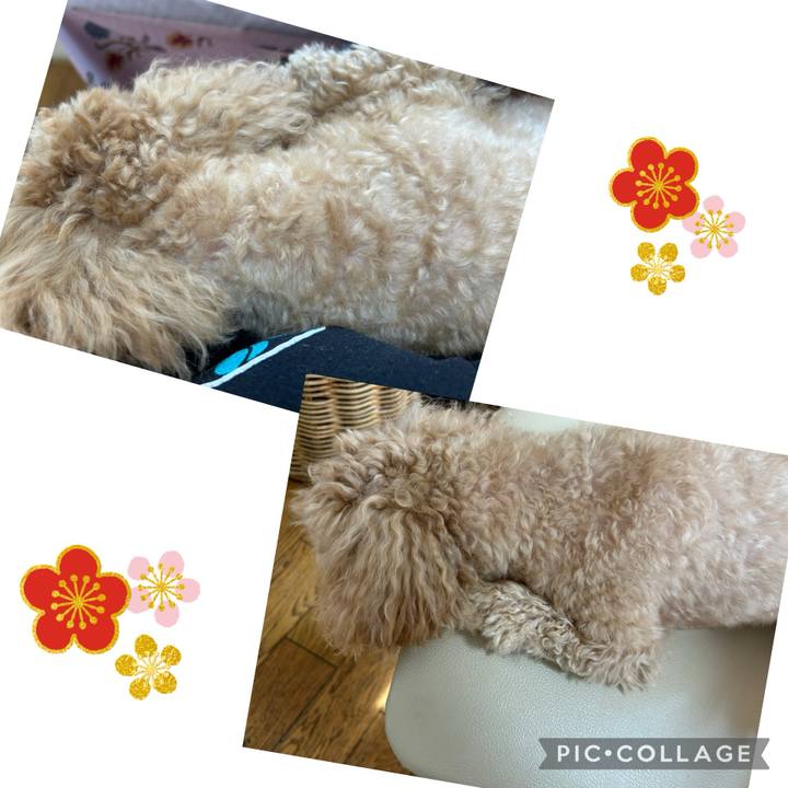 07249f54 cc0b 446e bbfd 09e8cb89713b 1740631329930