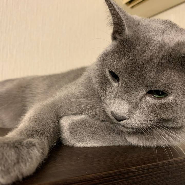 0724a00f 8bab 4d56 94b4 e21ff62485e0 1577565874489