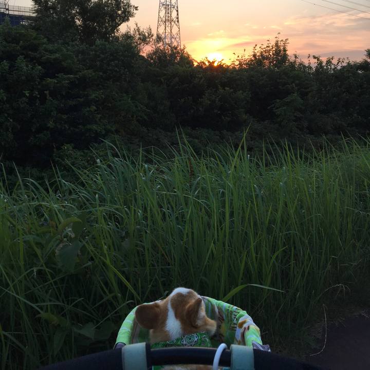 0724e55c 666d 422e 96a0 bca45316e403 1565298914194