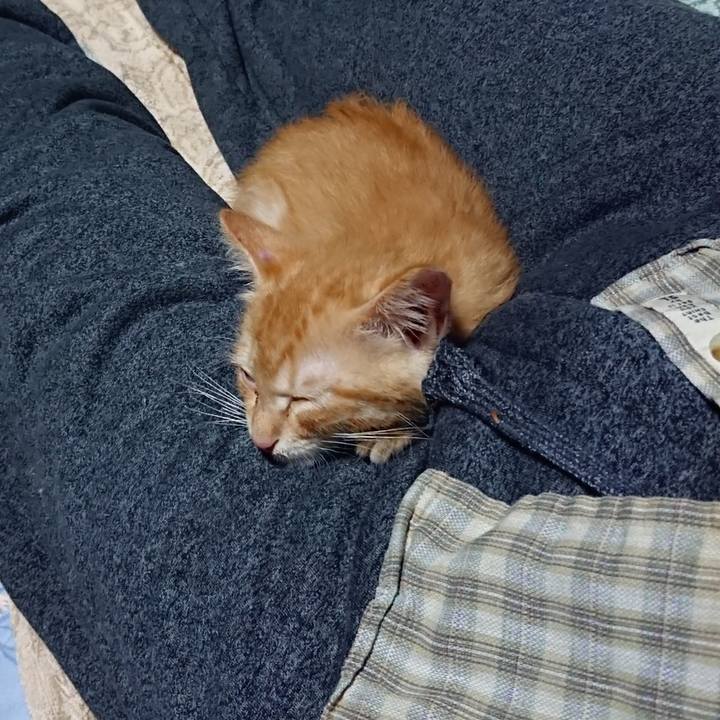 07250f6c cfbd 4d2d a75e 179470f1db87 1629550304611