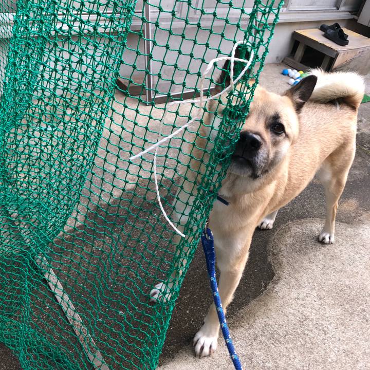 0725513e dbcf 4dde bfb4 0e5e8e4701dc 1553773458757