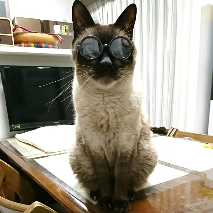 072570f8 5eae 48de b645 56c9488daf3e 1557061368431