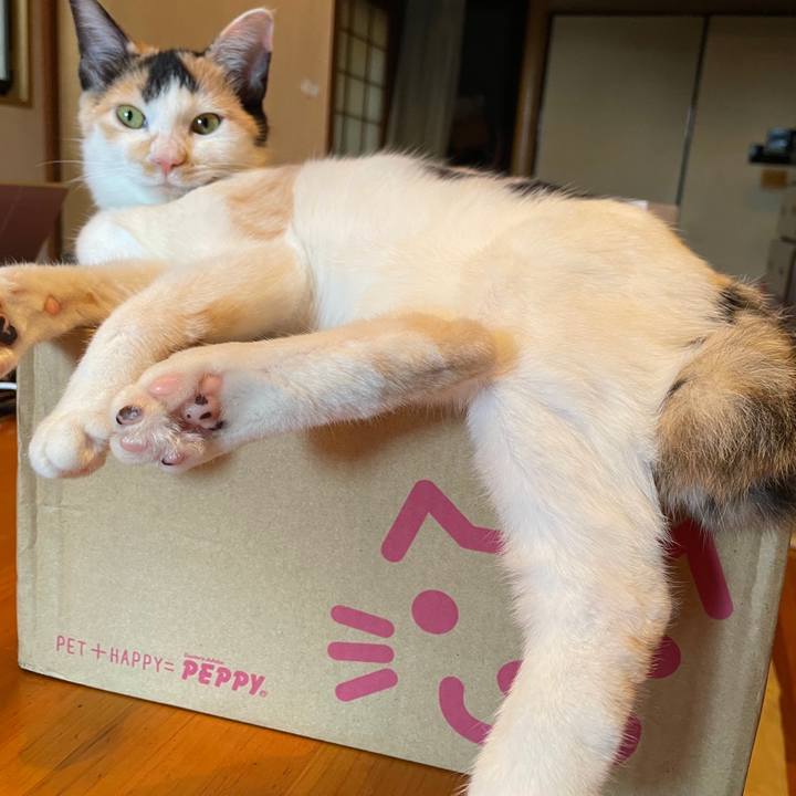 072581aa c934 4d45 a61c 81d2f9f55901 1666355274202