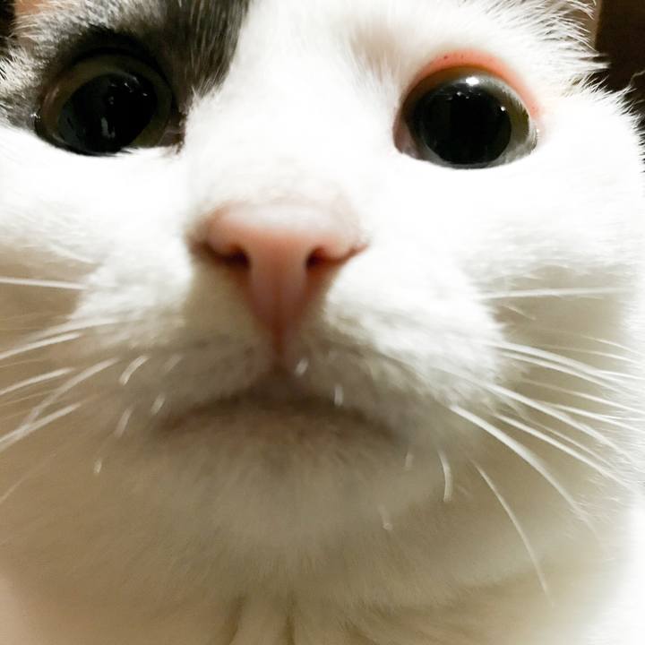 07258447 6904 4a14 8464 7a4024a03905 1528815283823