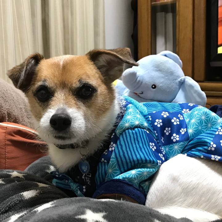 07258d2b 8ff6 4df2 82a5 5d625cad7eca 1548589978293