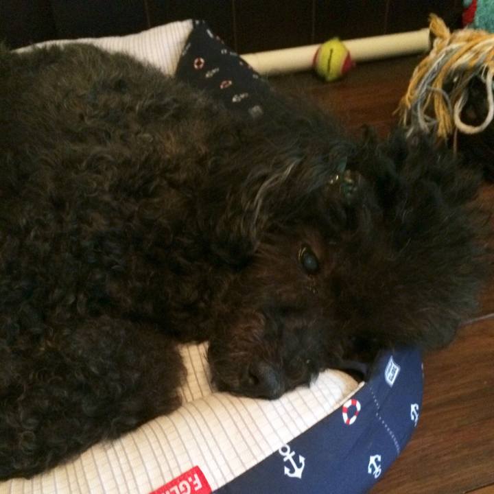 0725df7c 3568 40f5 84df 5bc2ccc09ced 1568430829221