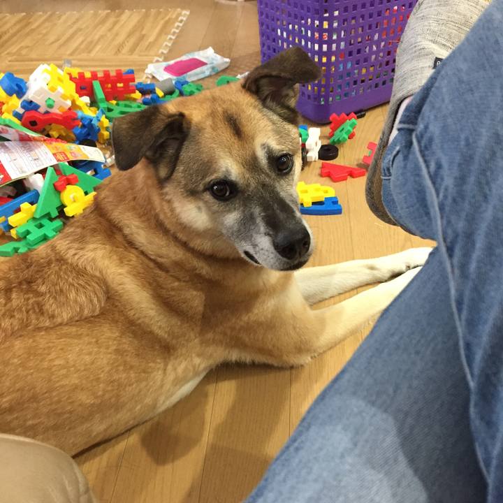 072614da e2a8 459b a61d 04c0b28c105b 1535269355615