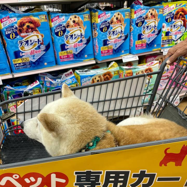 07261d1d 0572 42aa 847f 5b27730255d4 1656222670441