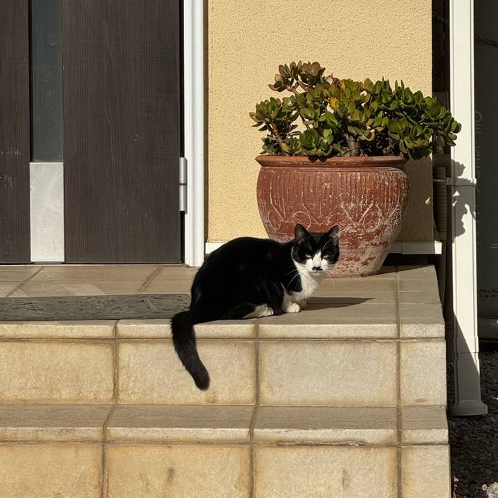 07262302 f813 43f8 893c 0bd3b9246642 1765591646117