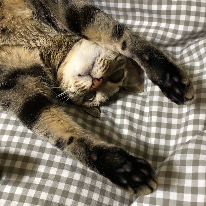 07266393 d83b 46aa 8e9a 3eba1bba8f19 1522083631388