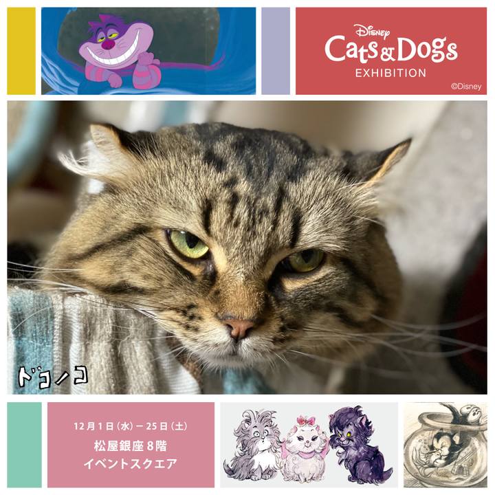 07267ed7 9460 4f14 bc00 c196e1497f60 1638348479839