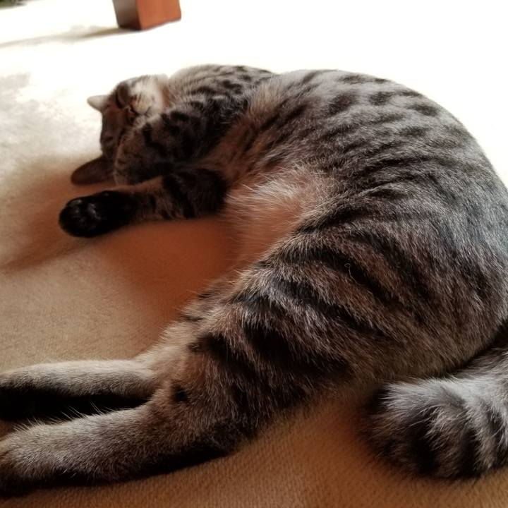 07267f01 d277 4971 b7f7 5997d0ad4c9f 1671077363382