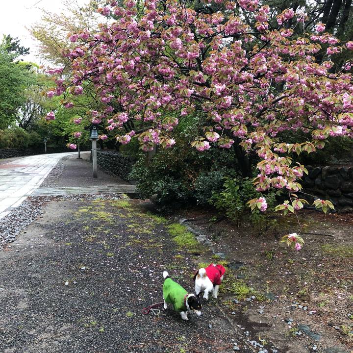 0726823f 6378 40ca b3e9 9a06d63077df 1524612811873