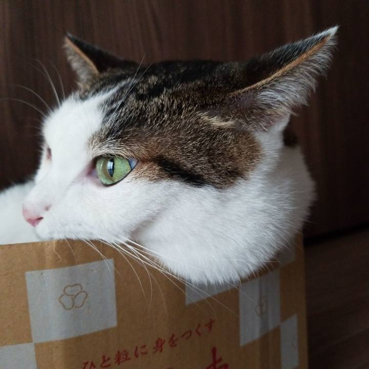 0726b9ef ba58 48b5 b7be 436301763264 1567028417952