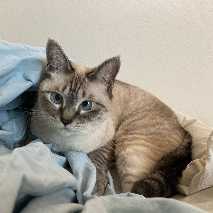 0726e16b 58e4 4ee2 b8b3 1b22d073a2d3 1691192031995