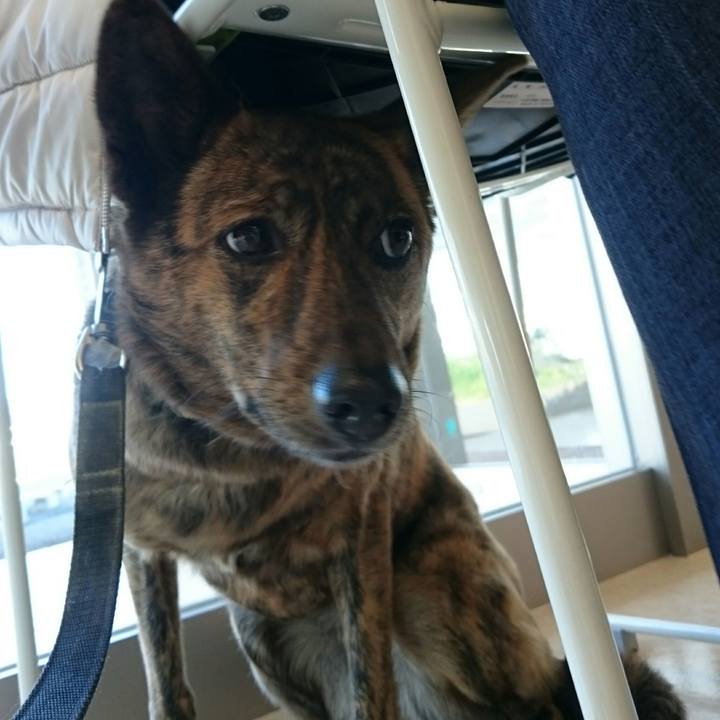 07270400 a86e 4569 9eec dd886103627c 1512189565060