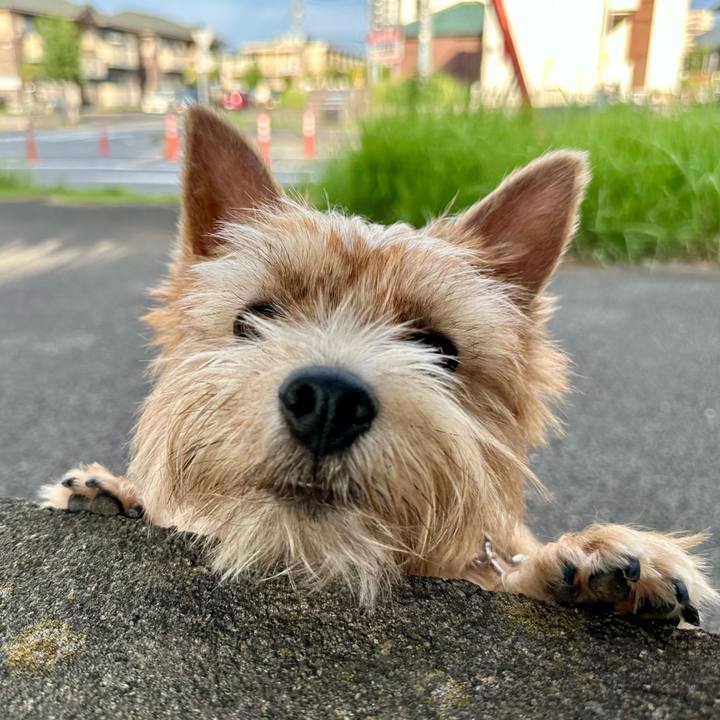 072734e3 0e1a 4e45 990b c841f95e1168 1757882917836