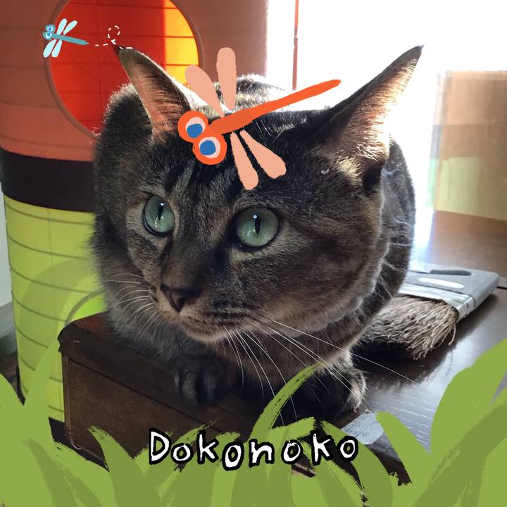 07273f52 9909 4190 b2d6 7bc86d91eed5 1726823293335