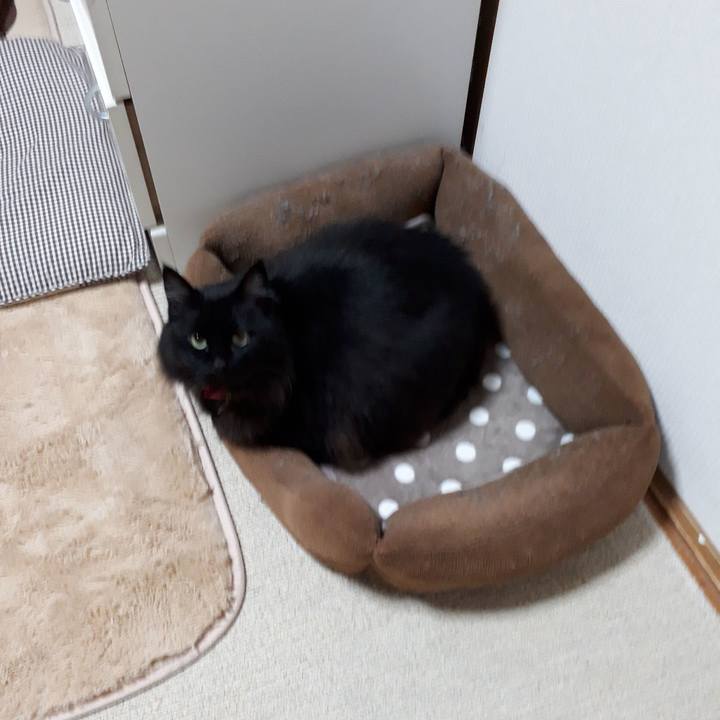 0727454c 1a9b 4468 a99e 7ab01a47a557 1517253961256