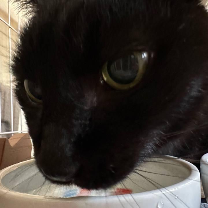 0727789f abe8 4b46 bf24 48308d56c1d5 1702085097772