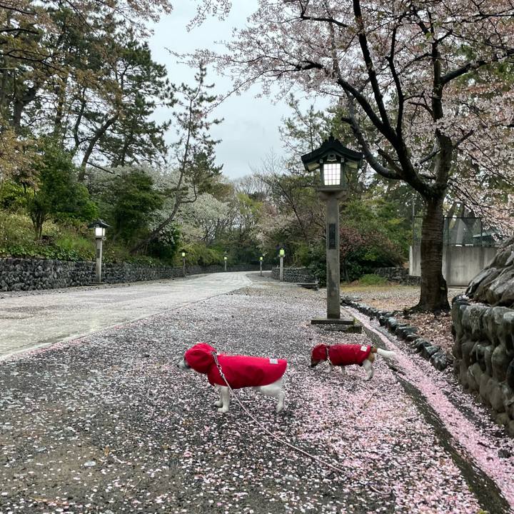 0727fb50 105c 4384 a46f 65bd8464003e 1649925657097