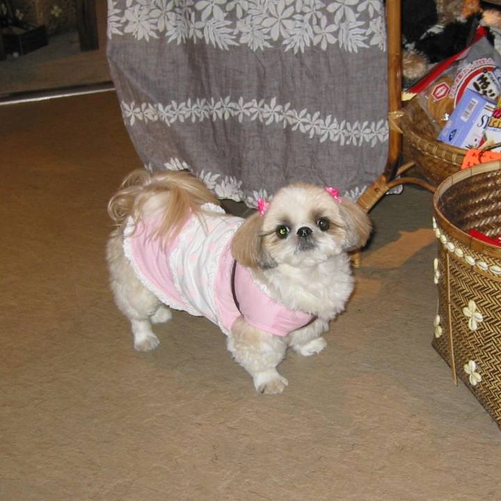 072803a2 caaf 4b8b 9f43 543fcffe13cf 1622959904523