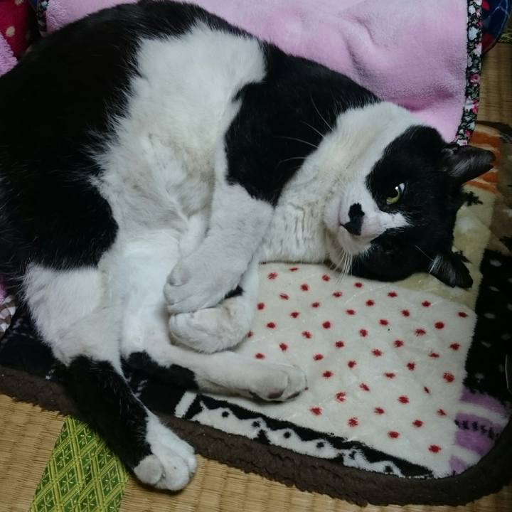 072817a2 1e04 41e6 a0ed dbafad39a1ed 1518700666209