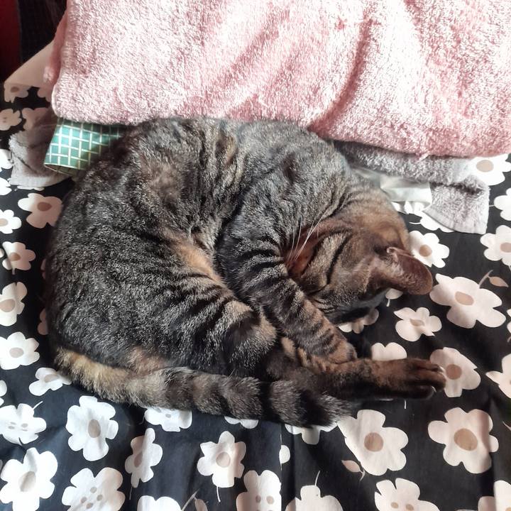 072817a5 ce65 437a aea6 ac8362a1a11c 1771466125123