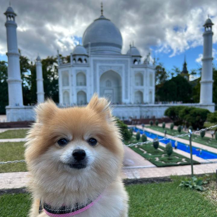 07285c18 e951 4e4a bb8f 8b106d766bb8 1732024067801